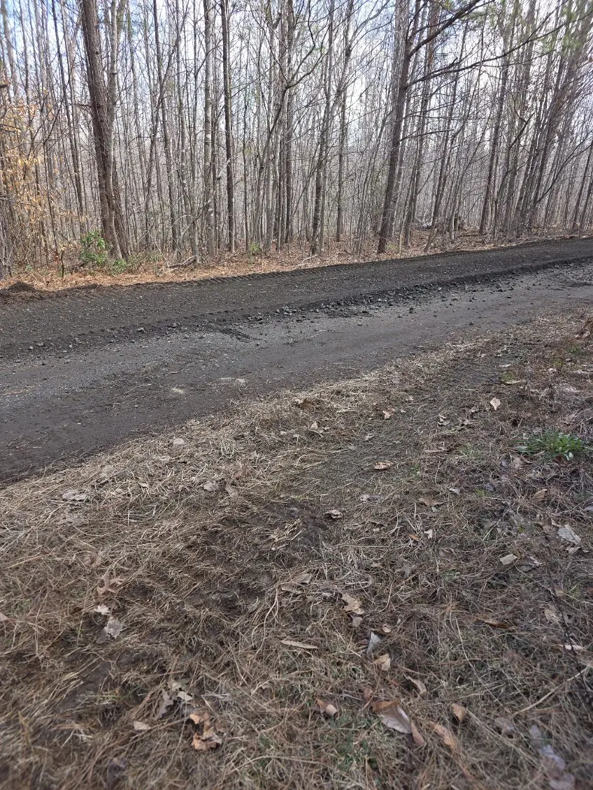 New gravel road laid through a tree line